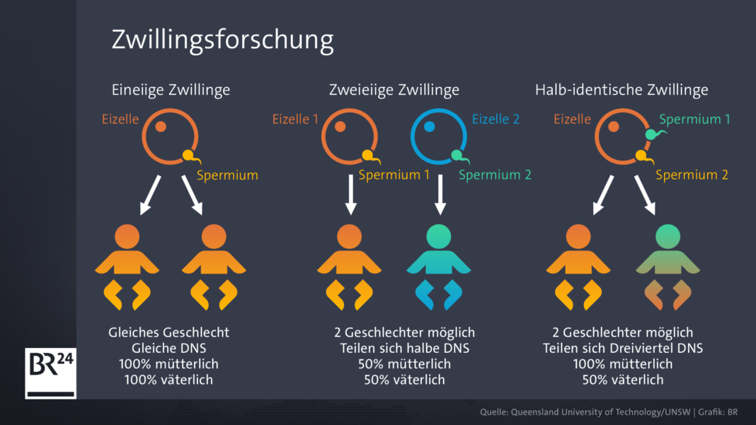 Wunder Der Natur Eineiige Zwillinge Mit Verschiedenem Geschlecht Es Sind Zwei Das Zwillingsportal 